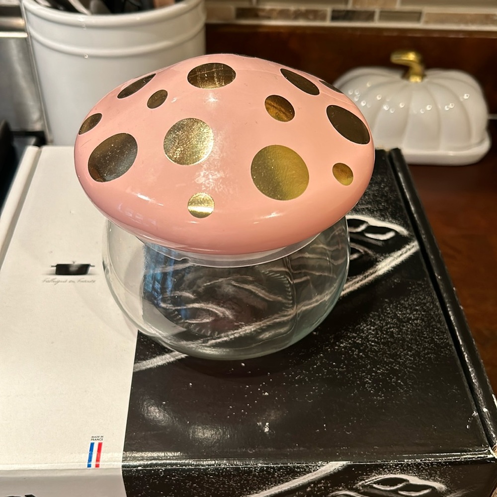 Pink Mushroom Glass Canister